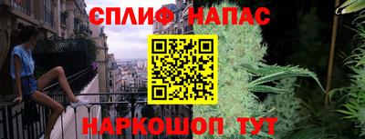 прущие крисы Гусев