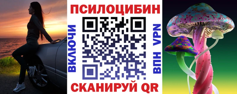 где найти   Уссурийск  Галлюциногенные грибы мухоморы 